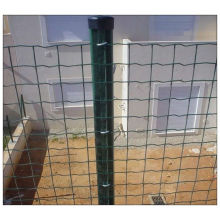 Clôture de maille en fil de fer enduite de PVC, clôtures vertes